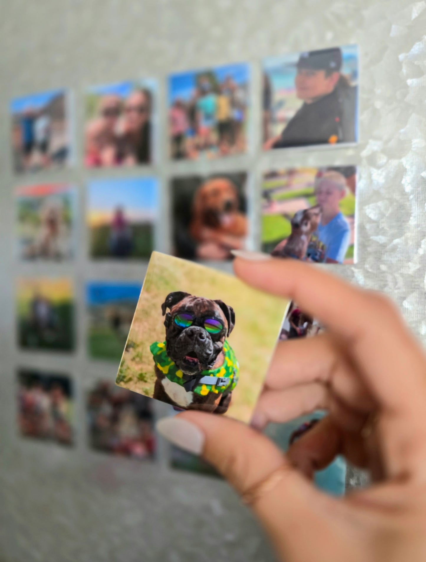 Long Frame and Custom Magnets Bundle