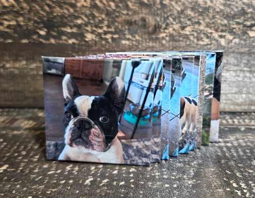 Custom Bulk Photo Magnets - Set of 50 Personalized 2"x2" Square Magnets